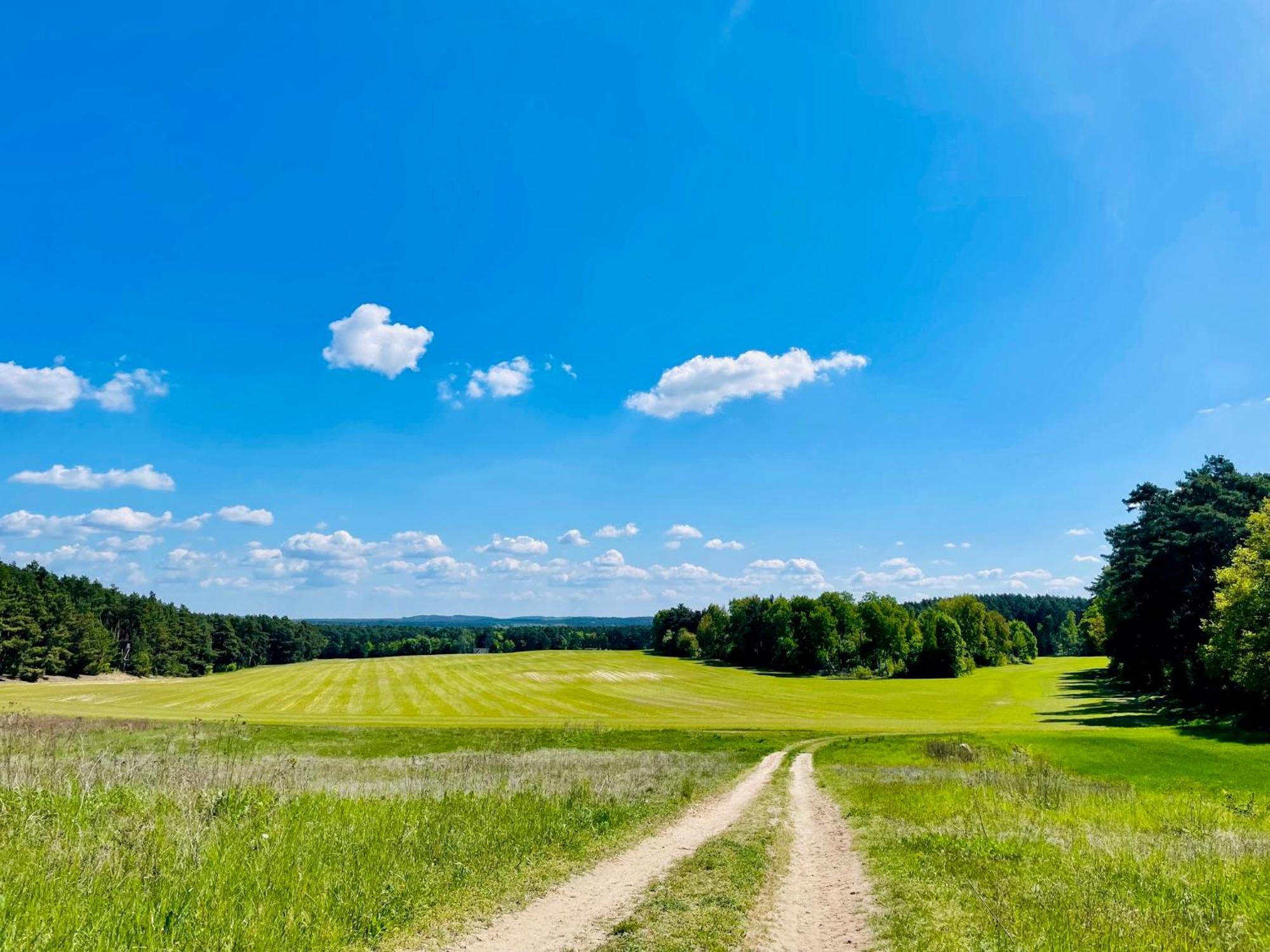 Ferienhaus Am Silberberg, Bad Saarow Exteriér fotografie